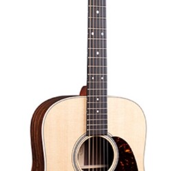 D-16E Rosewood