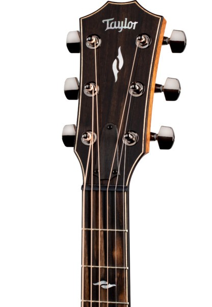 Taylor-814ce Headstock