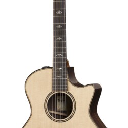Taylor 914ce
