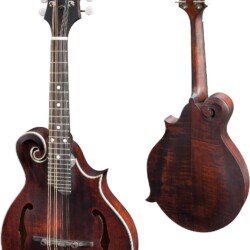Neck Material:Maple Fingerboard:Ebony Fingerboard Radius:12" Nut:Bone 1 3/32" Fretwire:23 Jescar FW37053 Scale Length:13 7/8" Body Style:F-Style w/ F-Holes Body Dimensions:26 11/16" x 10" x 1 7/8" Body Top:Solid Spruce Body Back/Sides:Solid Maple Truss Rod:Single Acting Binding:Top Binding Material:Ivoroid Logo:Maple Headstock Inlay:Pearl Dots Side Dot Color:Black Body Finish:Satin Finish Neck/Headstock Finish:Satin Finish Hardware Color:Nickel Tailpiece:Eastman Cast Aluminum Tailpiece Bridge:Adjustable Compensated Ebony Bridge String Spacing:1 5/8" Nut Height:.018" Pickups:Optional K&K Duotone Tuners:Proline J-105 Strap Peg:Ebony Strings:D'Addario XT Phosphor Bronze 1140 Action Height:0.060"/0.050" Case:Padded Gig Bag
