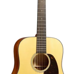 Martin Custom Shop Authentic D-18